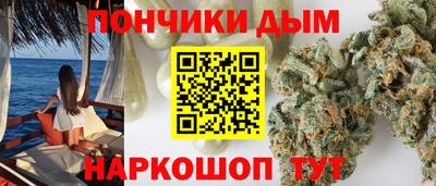 гашик Будённовск