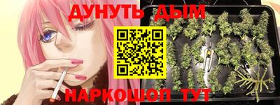 гашик Будённовск