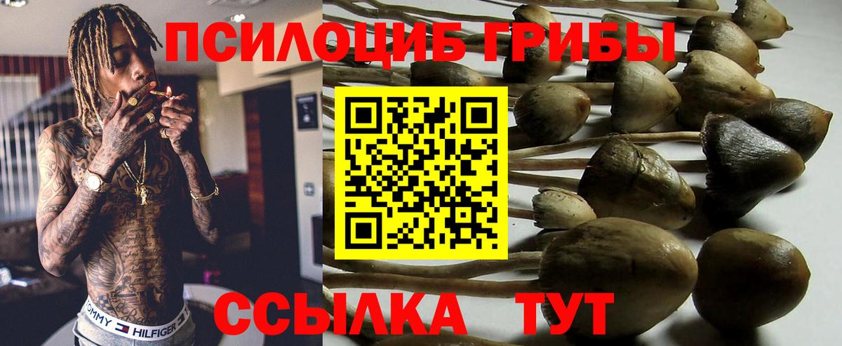 Галлюциногенные грибы мицелий Новомосковск