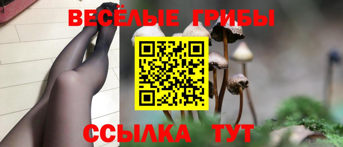 Новомосковск  что такое наркотик  Вход с VPN  Галлюциногенные грибы прущие грибы 